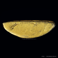 พระชัยวัฒน์ อรหัง หลวงพ่อโอภาสี