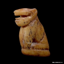 เสือหลวงพ่อสาย วัดคลองด่าน จ.สมุทรปราการ