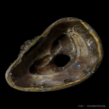 พระบูชาจตุคาม รามเทพ รุ่นมั่งมีศรีสุข