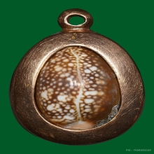 เบี้ยแก้ รุ่น สารพัดดี ปลุกเสกวัดกลางบางแก้ว