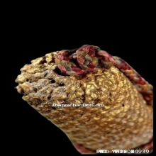 ตะกรุดหนังเสือหลวงพ่อตาบ วัดมะขามเรียง จ.สระบุรี