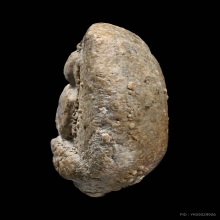 พระวัดพลับพิมพ์สมาธิเข่ากว้าง