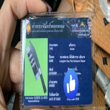 มีดหมอหลวงพ่อกวย..โฆษิตาราม 9 นิ้ว