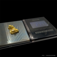 รูปหล่ออุ้มบาตรหลวงปู่คำบุ วัดกุดชมภู เนื้อทองคำ