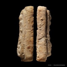 +บัตรสมาคม พระกรุวัดคู้สลอด พิมพ์หนุมาน