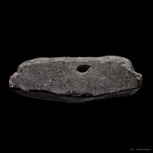 +บัตรสมาคม หลวงปู่ทวด วัดโพธิ์ เนื้อว่าน