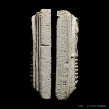 +บัตรสมาคม เกศไชโย7ชั้นนิยมA ซุ้มมีจุด รุ่นเสาร์5