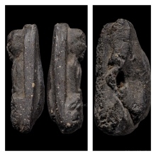 +บัตรสมาคม หลวงปู่ทวด วัดประสาท เนื้อดำ