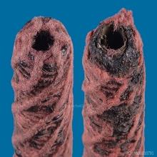 ๙ “คู่ชีวิตแดนใต้” ตะกรุดคู่ชีวิตลพ.เริ่ม วัดคีรีวงการาม ๙