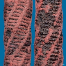 ๙ “คู่ชีวิตแดนใต้” ตะกรุดคู่ชีวิตลพ.เริ่ม วัดคีรีวงการาม ๙