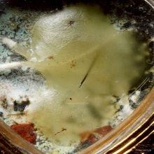 #ล็อกเก็ตรูปหัวใจ หลังอุดเทียนชัย หลวงปู่โต๊ะ