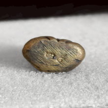 พระปิดตา หลวงพ่อเดิม วัดบางคลาน รุ่น ๒๙ ปี 2529