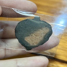 พระใบโพธิ์เล็ก หลวงพ่อลี วัดอโศการาม ปี 2500