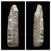 พระสมเด็จบางขุนพรหมพิมพ์เกศบัวตูม