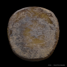 เสือหลวงพ่อสาย วัดคลองด่าน หางกริช (นิยม) มีรอยจาน