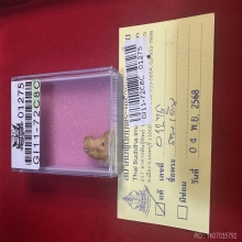 เสือ หลวงพ่อเดิม วัดหนองโพ