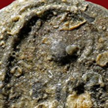 พระปิลันทน์ วัดระฆัง พิมพ์ครอบแก้วเล็ก(#2)