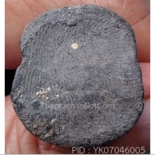 พระเกจิเนื้อผงเก่ามาก