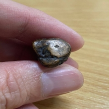 หลวงพ่อรุ่ง วัดท่ากระบือ ปี2482 ยันต์ยุ่ง พิมพ์เล็ก