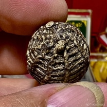 หมากทุย ลงรักเก่าแห้ง 