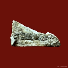 พระสมเด็จบางขุนพรหม พิมพ์เส้นด้าย