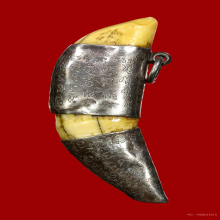 เขี้ยวเสือ เลี่ยมเงิน อาจารย์นพวรรณ และอาจารย์ปุ้ม จาร