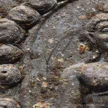 พระพุทธสิหิงค์ รุ่นแรก ปี 2530 เนื้อเทา มีจาร