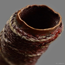 ตะกรุดมหากาฬ หลวงพ่อกวย วัดโฆสิตาราม จ.ชัยนาท ยุคต้น