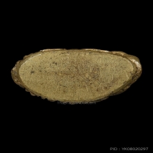 พระกริ่งไพรีพินาศ วัดบวรนิเวศน์ พิมพ์บัวเหลี่ยม ปี2495