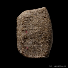 +บัตรสมาคม หลวงปู่ทวดนวล วัดตุยงค์ เนื้อว่าน