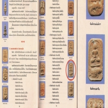 พระหลวงพ่อปาน วัดบางนมโค พิมพ์ทรงปลาจีน องค์ในตำนาน