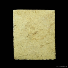 พระเจ้าห้าพระองค์เนื้อผงน้ำมัน หลวงพ่อเงิน วัดบางคลาน ปี2515