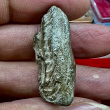 ปิดตาสายสมุทรปราการ พ่อพิณ บางหัวเสือ สวยเดิมหายากมาก