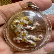 ลพ.ครื้น วัดสังโฆ ตุ๊กแกป้องกันเหตุ ดินลงสีฝุ่นเดิมๆ