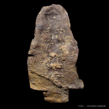 พระร่วงยืน พิมพ์ใหญ่ กรุวัดราชเดชะ จ.สุพรรณบุรี