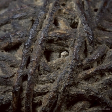 หลวงปู่ยิ้ม