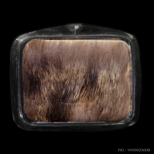 หนังหน้าผากเสือ ลงยันต์ หลวงพ่อสว่าง วัดท่าพุทรา 