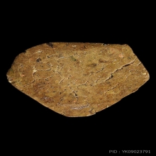 สวยคลาสสิค ยอดธงกู้ชาติ กรุวัดพลับ เนื้อชินเงินพิมพ์เล็ก