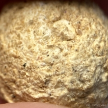 ลูกอมขนมโค พ่อท่านคล้าย วัดสวนขัน