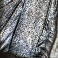 เหรียญรุ่นแรกมีจาร หลวงปู่โต๊ะ วัดประดู่ฉิมพลี 