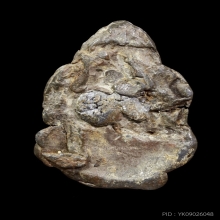 พระกรุเนื้อชินตะกั่วสนิมแดง เก่าจัด