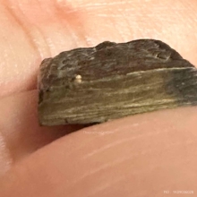 พระระฆังหลังฆ้อนยุคแรก 