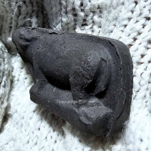 ควายธนู ปู่จันทร์ วัดทุ่งเฟื้อ รุ่นแรก ฐานตรง ล่ำใหญ่ สวยมาก