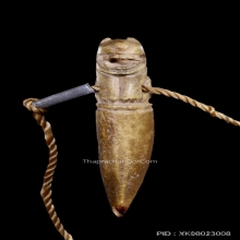 เสือหลวงพ่อเรือน วัดคลองด่าน (บางเหี้ย) สมุทรปราการ