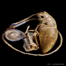 เสือหลวงพ่อเรือน วัดคลองด่าน (บางเหี้ย) สมุทรปราการ