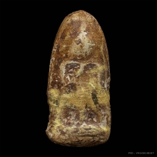 หลวงปู่ภู