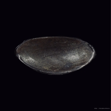 พระกริ่งวัดสุทัศน์