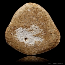 พระผงกระดูกผี วัดโพธิ์ พิมพ์หลวงพ่อโต หลวงปู่ภู  ยุคต้น