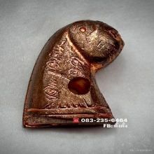 เสือหลวงพ่อวงษ์ วัดปริวาส นุ่น6 (หูจุดนิยม)สวยแชมป์แดงเดิม