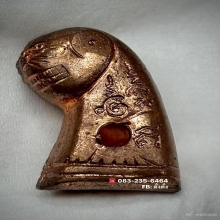 เสือหลวงพ่อวงษ์ วัดปริวาส นุ่น6 (หูจุดนิยม)สวยแชมป์แดงเดิม